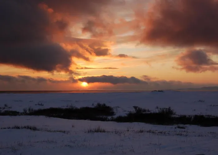 Hotell Fjordhotell *