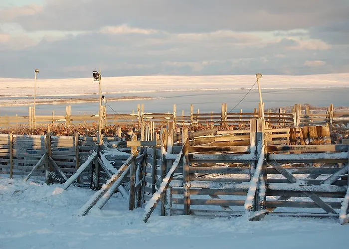 Fjordhotell Hotell *