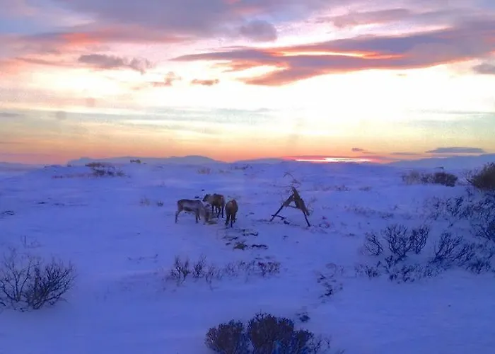 Hotell Fjordhotell Vadsø