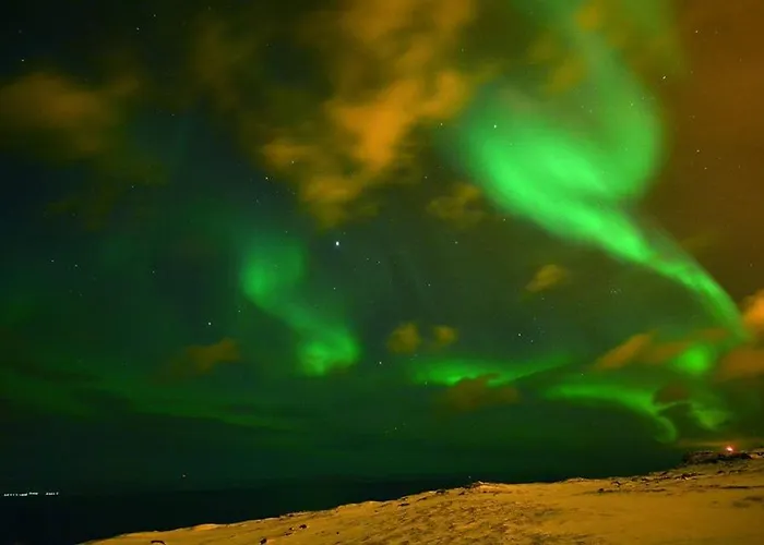 Hotell Fjordhotell *